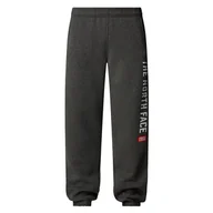 Spodnie męskie - Spodnie The North Face Varsity Graphic 0A89DPDYY1 - szare - miniaturka - grafika 1