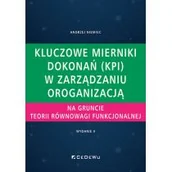 Zarządzanie - Kluczowe mierniki dokonań (KPI) w zarządzaniu - miniaturka - grafika 1