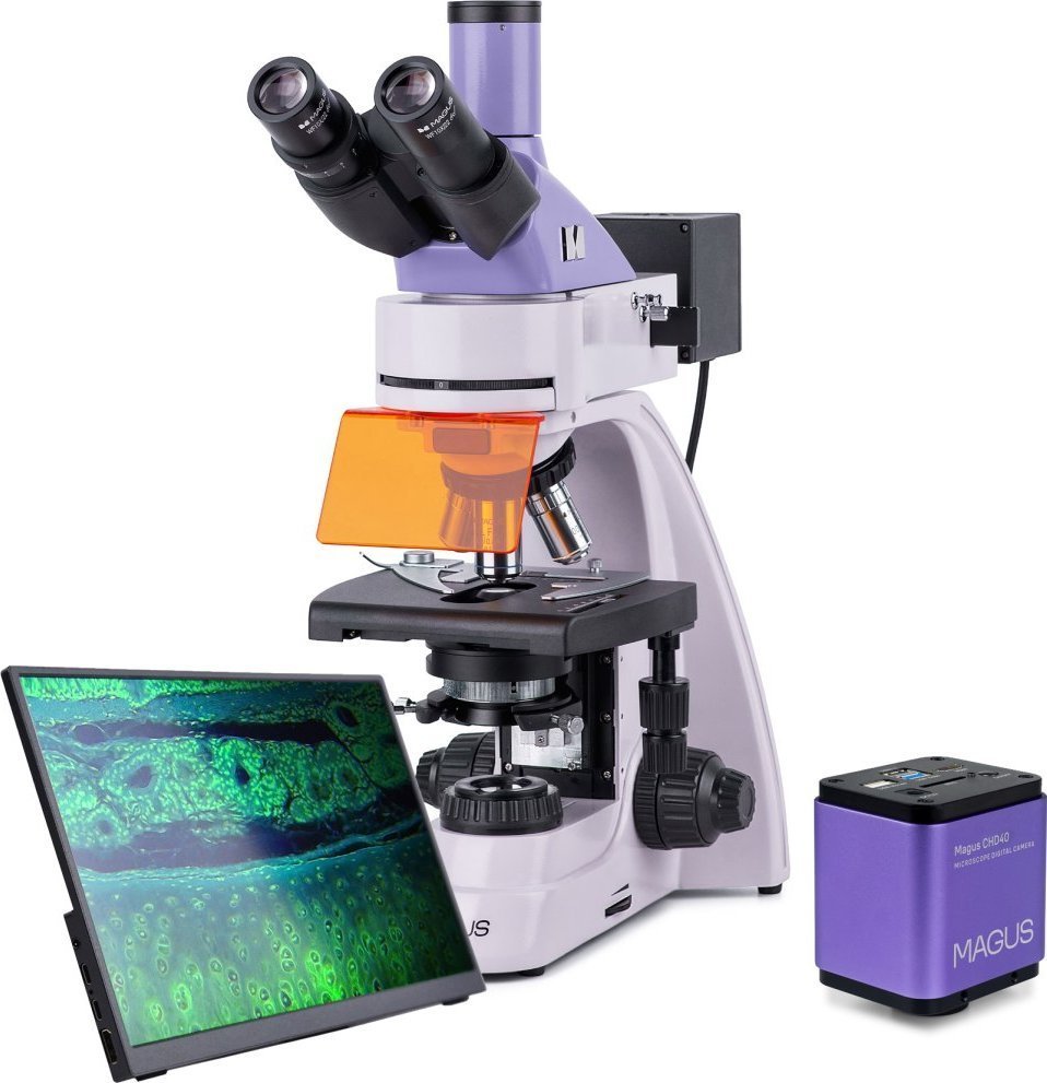 Mikroskop Magus Mikroskop fluorescencyjny cyfrowy MAGUS Lum D400L LCD