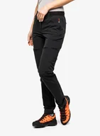 Spodnie narciarskie - Spodnie damskie Salewa Pedroc 2 DST 2/1 Pant - blackout - miniaturka - grafika 1