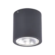 Lampy ogrodowe - Oprawa natynkowa zewnętrzna spot LED 7W GEORG 9673-13 Paul Neuhaus - miniaturka - grafika 1