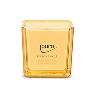 Świece - ipuro - Dekoracyjna świeca zapachowa Ipuro Soft Vanilla – minimalistyczne i purystyczne świece zapachowe w szkle – intensywne świece zapachowe z delikatnej wanilii Madagaskaru – stylowa świeca 125 g - miniaturka - grafika 1