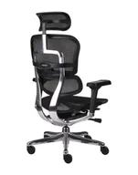 Fotele i krzesła biurowe - Ergonomiczny fotel biurowy Ergohuman Elite 2 BS Black - czarny nowoczesny fotel siatkowy - miniaturka - grafika 1