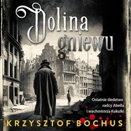 Audiobooki - kryminał, sensacja, thriller - Dolina gniewu Krzysztof Bochus - miniaturka - grafika 1