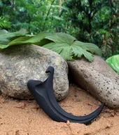 Korkociągi i otwieracze - Otwieracz Pazur - Jurassic Park - miniaturka - grafika 1
