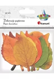 Dekoracje kartonowe Liście mix 30szt - Zabawki kreatywne - miniaturka - grafika 1