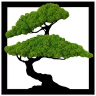 Obrazy i zdjęcia na płótnie - Obraz Drzewo Bonsai Mech Chrobotek Kwadrat 40Cm - miniaturka - grafika 1