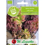 Nasiona i cebule - Nasiona Bio, Sałata Lollo Rossa - Czerwone 0,5G - miniaturka - grafika 1