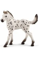 Albumy krajoznawcze - Źrebię Knabstrupper - miniaturka - grafika 1