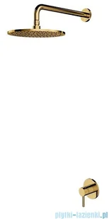 Omnires Y System prysznicowy podtynkowy złoty SYSY36GL | - Baterie umywalkowe - miniaturka - grafika 1