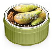 Świece - Kringle Candle Świeczka zapachowa Anjou & Allspice Daylight 35 g - miniaturka - grafika 1