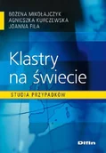 Zarządzanie - Klastry na Świecie Studia Przypadków - miniaturka - grafika 1