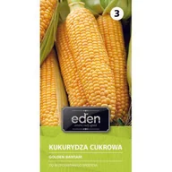 Nasiona i cebule - Kukurydza Golden Bantam 10 g Eden - miniaturka - grafika 1