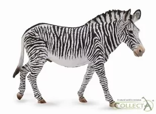 Collecta Zebra Grevys XL - Figurki dla dzieci - miniaturka - grafika 1