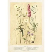 Kartki okolicznościowe i zaproszenia - Karnet ST445 B6 + koperta Kwiaty polne lato - miniaturka - grafika 1