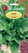 Nasiona i cebule - Szpinak Matador 20g Legutko szpinak matador - miniaturka - grafika 1
