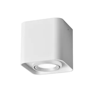 Oprawa natynkowa Xeno biała GU10 Goldlux - Oprawy, klosze i abażury - miniaturka - grafika 1