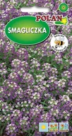 Nasiona i cebule - Smagliczka Malta liliowa 1 g POLAN - miniaturka - grafika 1
