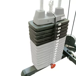 Body-Solid Dodatkowe obciążniki do SP50 22,5 kg 23221 - Pozostały sprzęt i akcesoria do ćwiczeń - miniaturka - grafika 1
