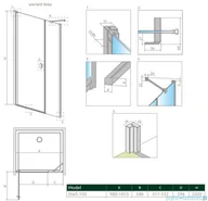 Akcesoria do armatury i ceramiki - Radaway Nes Dws Brushed Gold drzwi wnękowe 100cm lewe szczotkowane złoto 10028100-99-01L - miniaturka - grafika 1