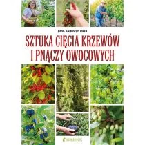Sztuka cięcia krzewów i pnączy owocowych - Dom i ogród - miniaturka - grafika 1