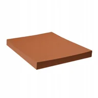 Papier do drukarek - Protos Protos Papier ksero brązowy A4 160g 50 arkuszy PROT0224 - miniaturka - grafika 1