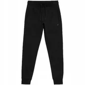 Dresy męskie - SPODNIE MĘSKIE 4FAW23TTRO-M451CZARNE 20S R. S - miniaturka - grafika 1