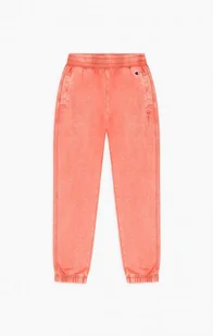 Damskie spodnie dresowe CHAMPION ROCHESTER Elastic Cuff Pants - Spodnie sportowe damskie - miniaturka - grafika 1