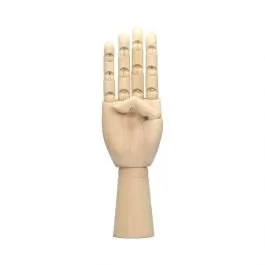 Leniar Model dłoni prawej 30cm 90553R - Pomoce naukowe - miniaturka - grafika 1