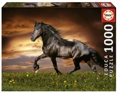 Puzzle - Educa, Puzzle, Kłusujący koń, 1000 el. - miniaturka - grafika 1