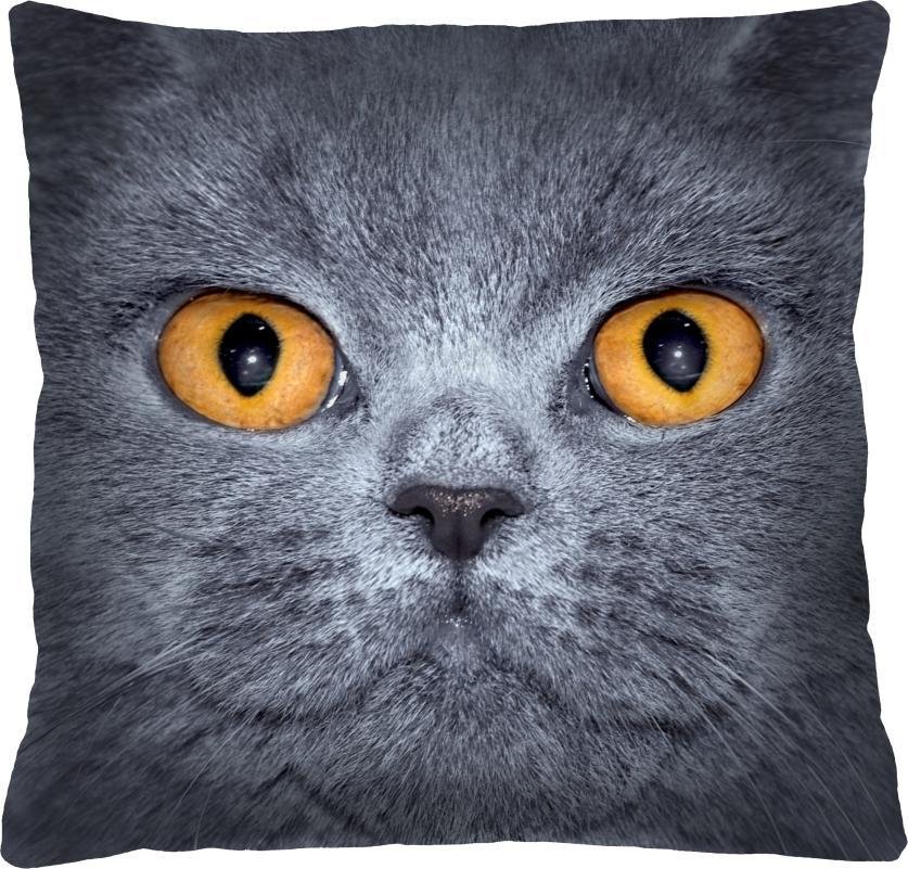 Bertoni-arco Poduszka - LEON - 40x40 cm