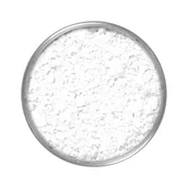 Pudry do twarzy - KRYOLAN Translucent Powder puder transparentny 20g - miniaturka - grafika 1