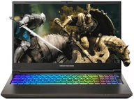 Laptopy - Dream Machines RG4070-15PL28 15,6" i7-13700HX RTX4070 1 TB SSD 16 GB 144 Hz RG4070-15PL28-16GB_1000SSD - miniaturka - grafika 1