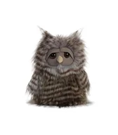 Maskotki i pluszaki - Aurora Zwierzaki Maskotka pluszowa Sowa 25 cm - miniaturka - grafika 1