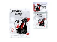 Ozdoby bożonarodzeniowe - Magnes - Zimowe koty z sankami (CARMANI) - miniaturka - grafika 1