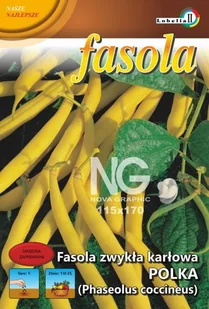 Fasola żółta karłowa Polka 50g / L / - Nasiona i cebule - miniaturka - grafika 1