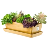 Donice - Kaktusiarka doniczka Ceramika jasny brąz mat 29cm z podstawką sukulenty - miniaturka - grafika 1