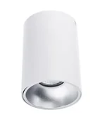 Lampy sufitowe - Auhilon Oprawa sufitowa NERO C1255-1L WH/S C1255-1L WH/S - miniaturka - grafika 1