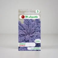 Nasiona i cebule - Jarmuż czerwony Scarlet 1g - Nasiona - W. Legutko - miniaturka - grafika 1