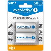 Ładowarki i akumulatory - EverActive R14/C Ni-MH 5000mAh Professional line opak 2 akumulatorki blister EVHRL14-5000 EVHRL14-5000 - miniaturka - grafika 1