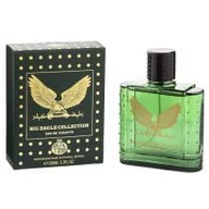 Wody i perfumy męskie - Real Time Big Eagle Collection Green woda toaletowa 100ml - miniaturka - grafika 1