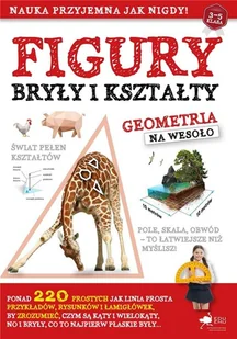 EduEmu Figury, bryły i kształty - Matematyka - miniaturka - grafika 2