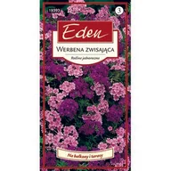 Nasiona i cebule - Werbena zwisająca mix 0,3 g Eden - miniaturka - grafika 1