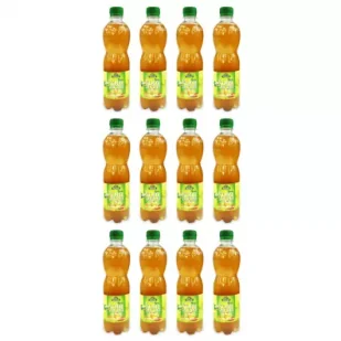 Bio Linie Kombucha herbata zielona zgrzewka 12 x 500 ml Bio - Napoje gazowane - miniaturka - grafika 1
