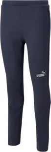 Puma Spodnie Puma teamFinal Casuals Pants M 657386 06, Rozmiar: S - Spodnie sportowe męskie - miniaturka - grafika 1