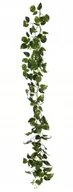 Sztuczne kwiaty - GIRLANDA BLUSZCZ PHOTOS ZIELONY 160 CM - miniaturka - grafika 1
