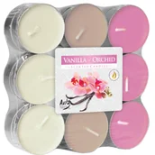 Świece - Podgrzewacz zapachowy wanilia-orchidea 18 sztuk Bispol - miniaturka - grafika 1