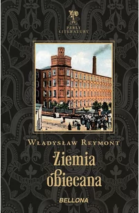 Ziemia obiecana - E-booki - literatura polska - miniaturka - grafika 1