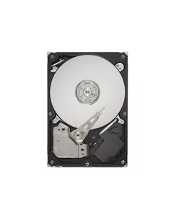 Dysk SEAGATE PIPELINE HD ST3320311CS 320GB 5900 8MB SATA - Dyski HDD - miniaturka - grafika 1