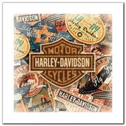 Plakaty - Harley Davidson plakat obraz 40x40cm - miniaturka - grafika 1
